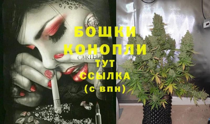 Шишки марихуана Ganja  Курган 